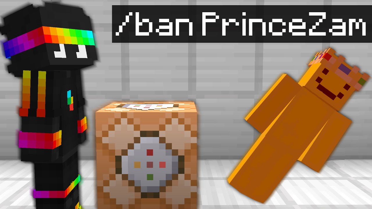 I Was Banned For Saving This SMP