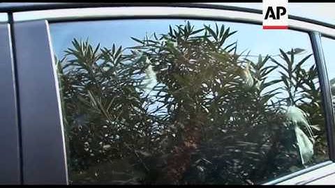 Eurozone troika inspectors abandon meeting after protesters occupy ministry