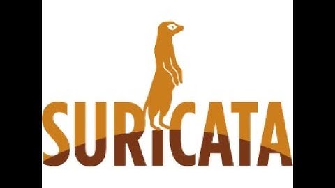Installing suricata on ubuntu 20.04/18.04/16.04 with a single script! IDS on Cloud!