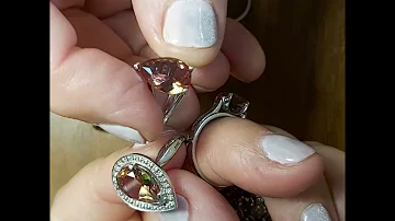 РАКУШКА КАУРИ