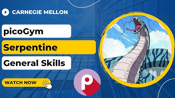 picoGym (picoCTF) Exercise: Serpentine