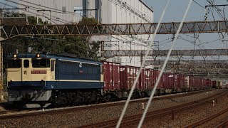 【PF代走】EF65 2085+コキ20車馬橋到着 73レ