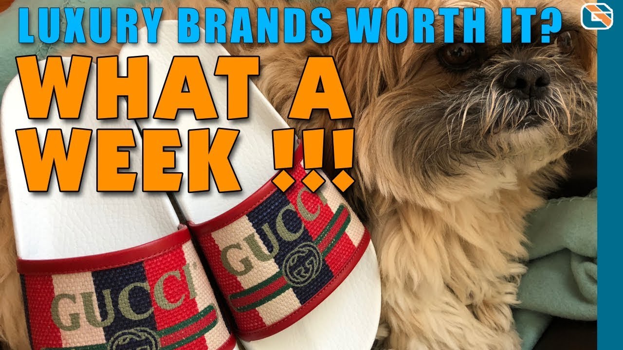 What a Week 3 Are Luxury Brands Worth It ? YouTube