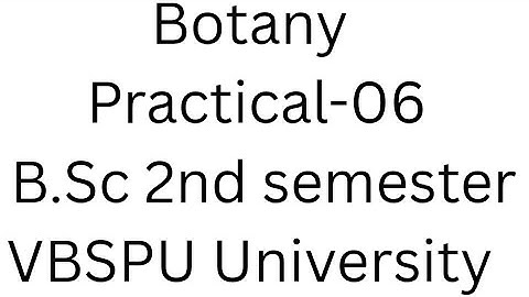 Botany practical record file for BSc 2nd semester