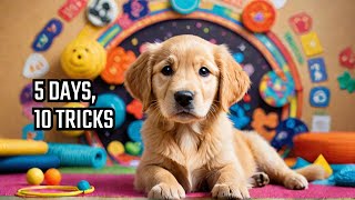 First 10 Tricks I taught my new puppy...