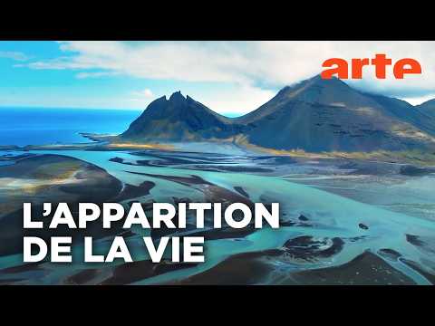 Ref:sD-eYTd2fpE Terre, les forces du vivant | Documentaire | ARTE