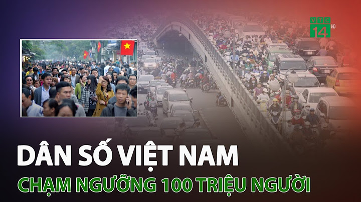 Đất nước việt nam có bao nhiêu dân năm 2024