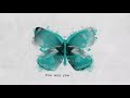 James tw  butterflies official lyric