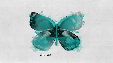James TW - Butterflies (Official Lyric Video)