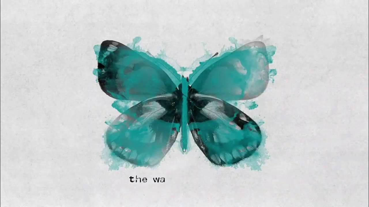 James TW Butterflies (Official Lyric Video) YouTube