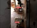 BLDC motor 20 HP working on solar atta chakki smart technology