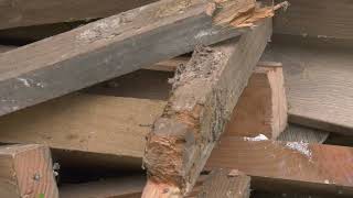 MERULE, CHANTIER EN COURS par Direct merule