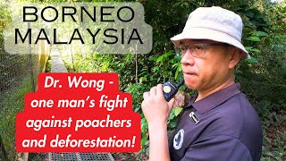 Dr Wong And The Amazing Sun Bears  Borneo 2024