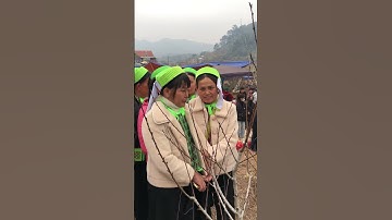 Hát sli rất hay hội Bản Luận, Hòa Cư 11 #giadinh #thinhhanh #travel #food #duet #happynewyear