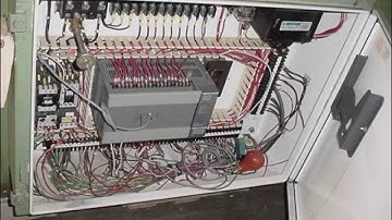 Loveshaw Little David Model LD00 random top and bottom case