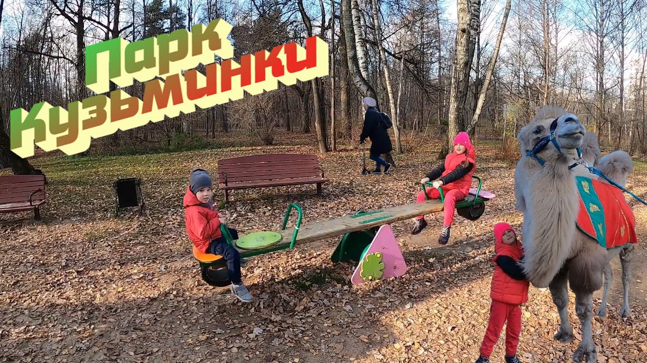 VLOG 107/ Парк Кузьминки /Эвакуатор забрал машину /Много хаски и не ...