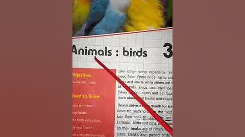 Class 3 G. Science Chapter 3 Animal Birds part 3