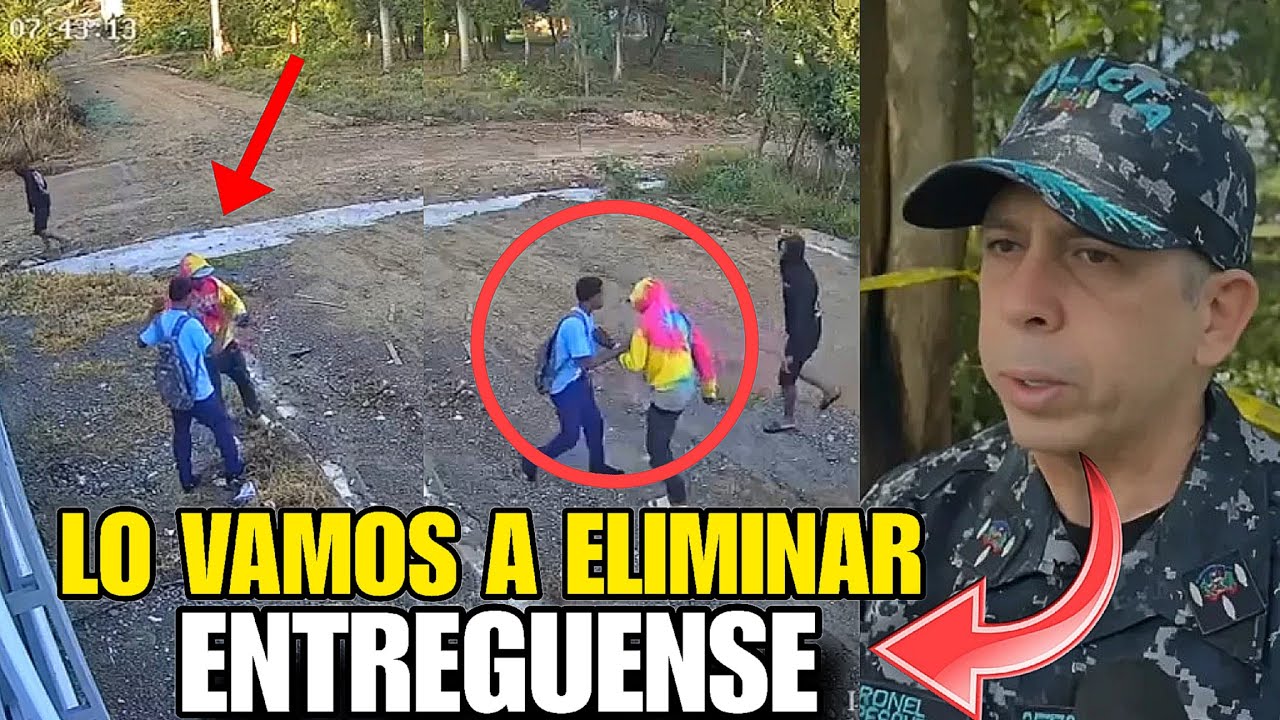 🚨AY MI MADRE RD BAJO ALERTA. 