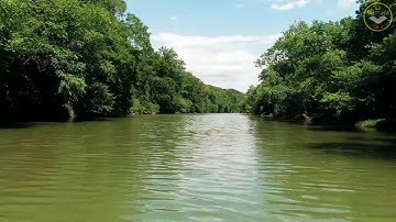 تلاوة لا توصف للقارئ مؤيد المزين من سورة الانعام