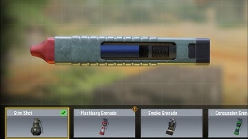 I used the NEW Tactical Stim Shot in CODM