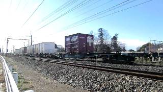1月16日　3055ﾚ　EF65 1091