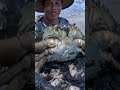 Lucky Fisherman Gets Big Crab