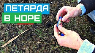 ПЕТАРДА В НОРЕ!!!