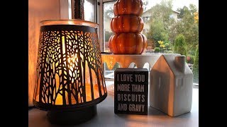 Scentsy Flash Sale HAUL 2018