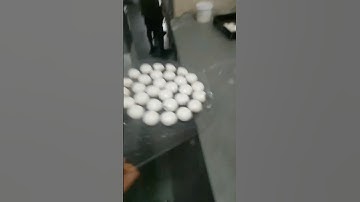 #Automatic bun divider and Rounder machine