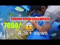 PART 1 | Padutha kulam price details and making video  #paduthakulamcost #tarpaulinpondmaking