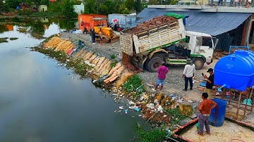 Be Watchful Start Landfill Project!. Using Dump Truck 5Ton with Skill Dozer Pushing Stone Soil!