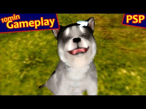 Petz: Dogz Family ... (PSP) Gameplay