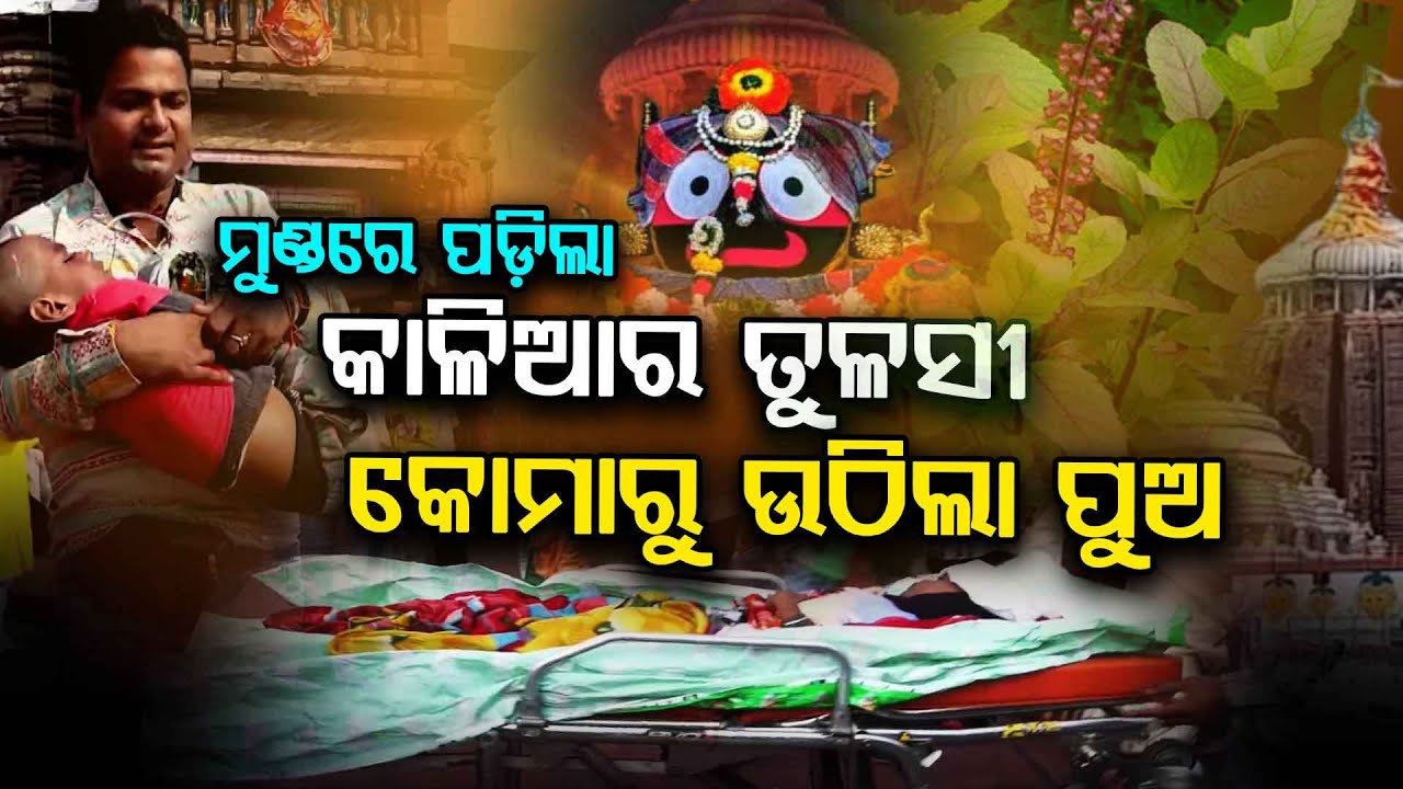 ମୁଣ୍ଡରେ ପଡ଼ିଲା କାଳିଆର ତୁଳସୀ କୋମାରୁ ଉଠିଲା ପୁଅ...| Jagannath Temple | Argus Digital