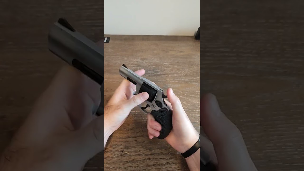 Taurus 856 .38 Special 3
