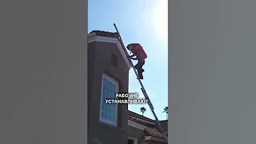Термиты съедают дома