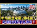 新北人真的想跟大巨蛋當鄰居？樹林房價看漲 沒人要的店面鹹魚翻身！【#房市讀經濟】｜#寰宇新聞