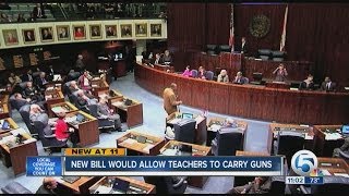 New bill would allow teachers to carry guns Guide