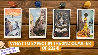 What to Expect in The 2nd Quarter of 2024!