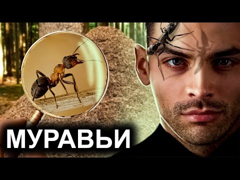 Видео: Муравьи. 10 Интересных Фактов.