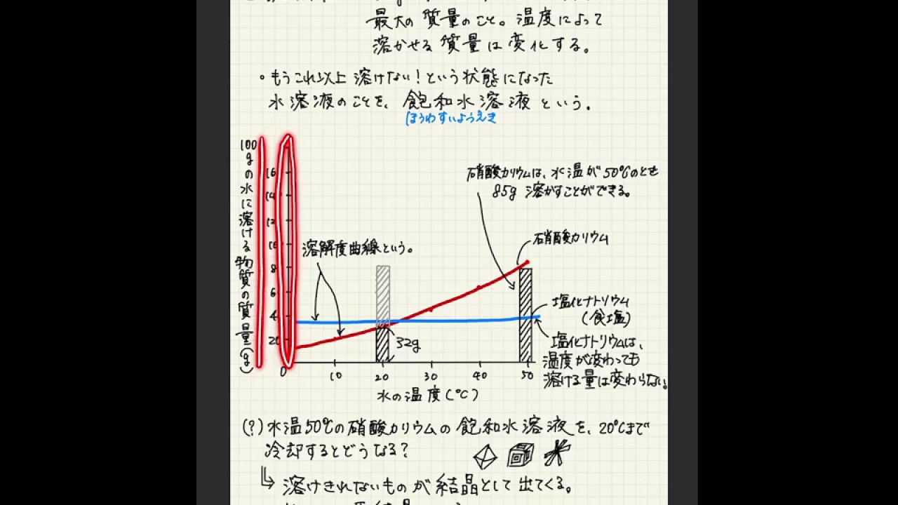中一理科 Ibizfree