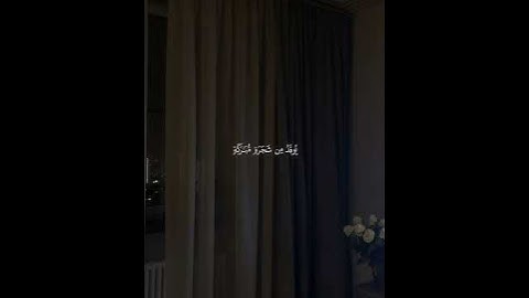 تلاوة ماتيسر من آيات سورة النور بصوت القارئ #ماهر_المعيقلي #اكسبلور #قران_كريم #لايك #تلاوة_خاشعة 