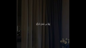 تلاوة ماتيسر من آيات سورة النور بصوت القارئ #ماهر_المعيقلي #اكسبلور #قران_كريم #لايك #تلاوة_خاشعة 