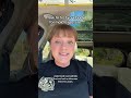 How to test your body for mold exposure using the RealTime Labs mycotoxin urinalysis panel
