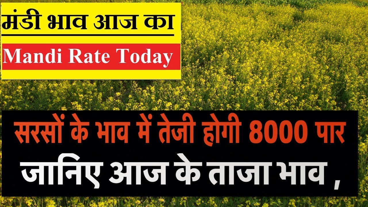 2020-mandi-rate-today