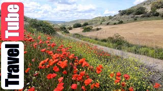 Ruta Iberica, The Movie