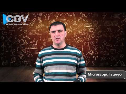 Video: Cine A Inventat Microscopul