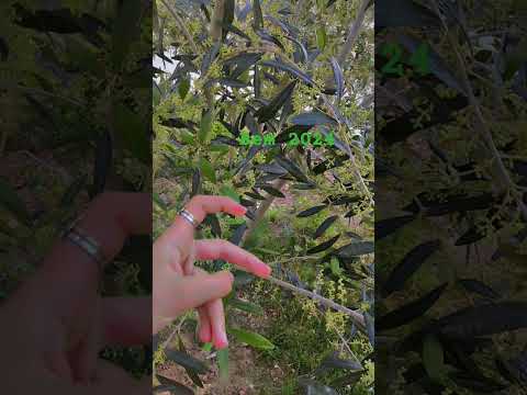 احلى ذكريات مع احلى اصدقاء 