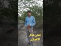 شاکر الاهوازی مابیه علی الهجران شاکر الاهوازی مابیه علی الهجران