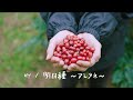 HY - 「明日種~アシタネ~」Music Video