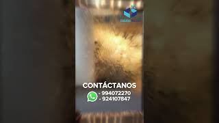 Muro Llorón De Vidrio Para Transformar Tus Espacios